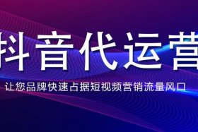 代运营骗了3000以上该怎么追回（代运营骗了4800）