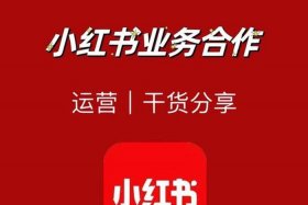 小红书代运营公司代运营 小红书账号代运营团队