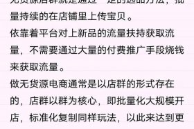 怎么开无货源网店赚钱，无货源网店现在还挣钱吗