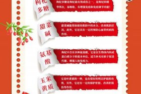 枸杞原浆真的靠谱吗，枸杞原浆真相大揭秘