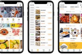 电商平台怎么做海鲜，专门做海鲜的网上平台
