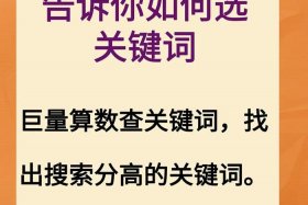 怎么找运营团队合作 怎么找运营团队合作的人