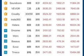 2024电商排名前30，电商排名前100