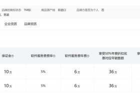 天猫费用一年多少钱；天猫使用费一年多少