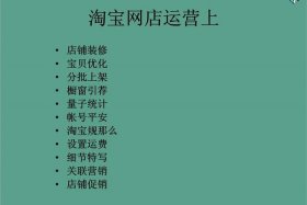 淘宝店铺运营推广费用财务管理；淘宝网店运营推广
