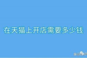 天猫店需要多少钱才能做起来 天猫网店要多少钱