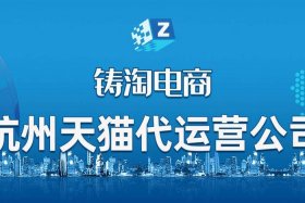 代运营一个季度保证销售额、代运营销售怎么样
