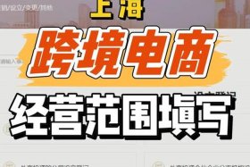 注册跨境电商网店、注册跨境电商网店需要看征信吗