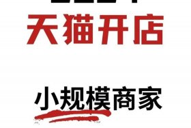 天猫怎么入驻商家，天猫入驻怎么成功入驻