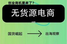 无货源电商运营自学全套（做无货源电商）
