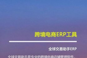 适合个人做的跨境电商 哪个跨境电商平台适合个人卖家创业