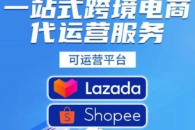 电商服务平台代理 电商平台代入驻