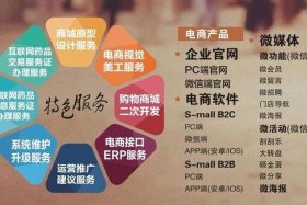 电商是做什么的工作；医药电商是做什么的工作