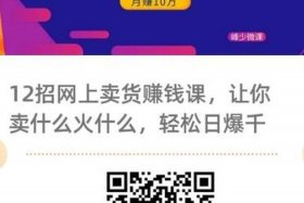 平台上怎么卖货赚钱、平台卖什么赚钱