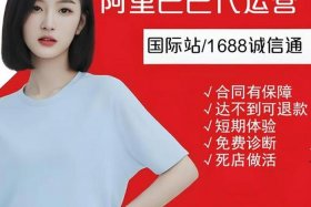 阿里巴巴代运营公司推荐 阿里巴巴代运营公司推荐人是谁