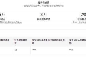 开天猫店铺需要多少钱 - 开天猫店铺需要多少钱店要多少钱