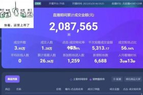 自己做电商一个月能挣多少钱（自己做电商收入怎么样）
