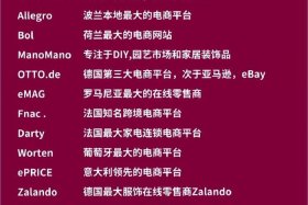 在tiktok可以挂的跨境电商平台有哪些 - tik tok跨境电商