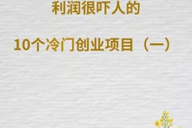 冷门利润高（冷门利润高的行业）