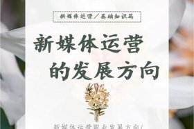 为什么不建议做运营（为什么做运营的人不自己创业）