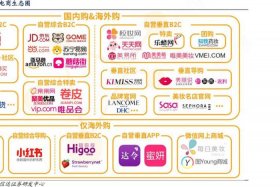 电商有哪些种类名称；电商有哪些种类名称和图片