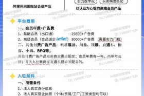 海外开店流程及费用，海外开店有什么条件