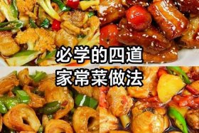 怎么学做菜 - 怎么学做菜去哪里学