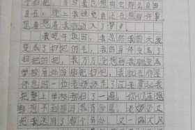 我想开网店（我想开网店作文）