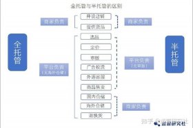 托管电商平台排名、托管电商平台排名前十