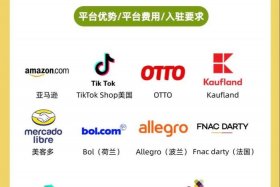 跨境电商哪个平台前景好，跨境电商哪个平台前景好一点