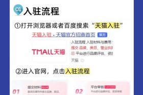 天猫代入驻一般多少钱、天猫代办入驻真的能入驻成功吗？