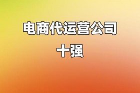 正规官方代运营电商公司（电商代运营公司是什么意思）