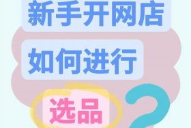 新手开网店在哪个平台开比较合适 适合新手开网店的平台