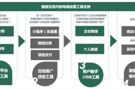 卖货网站平台自取的平台有哪些；卖自己货用什么软件好