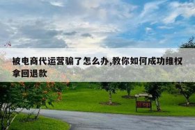 被运营骗了怎么退回 - 被运营公司骗了可以报警吗