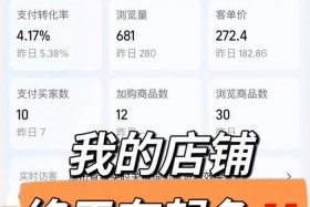 开一件代发网店需投资多少钱 - 开网店代售一件代发能有多少的利润