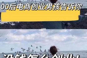 电商怎么自己创业，电商如何创业