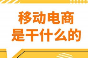 电商主要是干啥 - 电商主要是做什么呢