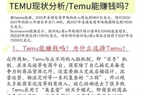 temu跨境电商入驻条件、target跨境电商