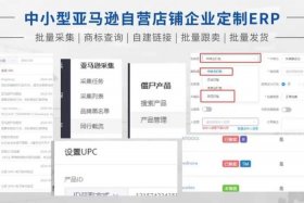 亚马逊erp注册需要多少钱、亚马逊免费的erp系统哪个好用