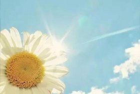 做电商的女人是不是没时间回信息、做电商的女生