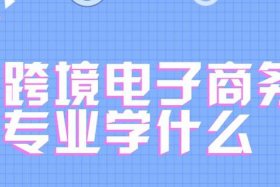 男孩子学电商运营好吗 男孩学电子商务专业好不好