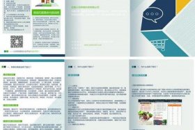 代运营推广公司大全 代运营推广是做什么的