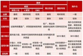海外电商项目如何做 - 做海外电商需要哪些条件