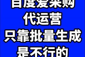 百度代运营公司排名（百度代运营公司排名榜）