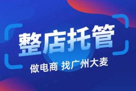 大美电商代运营 大麦电商代运营