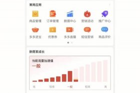 拼多多无货源如何开网店全套教程 - 拼多多开店亲身经历