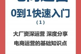 怎么做电商平台教程（手把手教你做电商）