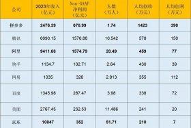 拼多多代运营公司排名，拼多多代运营公司排名第一