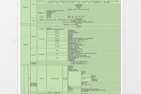 淘宝运营策划方案模板；淘宝运营规划